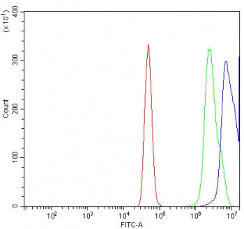 Flow cytometry testing of human A431 cells with MAFG antibody at 1ug/million cells (blocked with goat sera); Red=cells alone, Green=isotype control, Blue= MAFG antibody.
