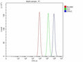 Flow Cytometry analysis of Caco-2 cells using anti-ITPKC antibody. Overlay histogram showing Caco-2 cells stained with (Blue line). To facilitate intracellular staining, cells were fixed with 4% paraformaldehyde and permeabilized with permeabilization buffer. The cells were blocked with 10% normal goat serum. And then incubated with rabbit anti-ITPKC antibody (1 ug/million cells) for 30 min at 20oC.