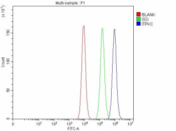 Flow Cytometry analysis of Caco-2 cells using anti-ITPKC antibody. Overlay histogram showing Caco-2 cells stained with (Blue line). To facilitate intracellular staining, cells were fixed with 4% paraformaldehyde and permeabilized with permeabilization buffer. The cells were blocked with 10% normal goat serum. And then incubated with rabbit anti-ITPKC antibody (1 ug/million cells) for 30 min at 20oC.