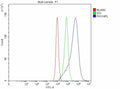 Flow Cytometry analysis of CACO-2 cells using anti-PHYHIPL antibody. Overlay histogram showing CACO-2 cells stained with (Blue line). To facilitate intracellular staining, cells were fixed with 4% paraformaldehyde and permeabilized with permeabilization buffer. The cells were blocked with 10% normal goat serum. And then incubated with rabbit anti-PHYHIPL antibody (1 ug/million cells) for 30 min at 20oC.