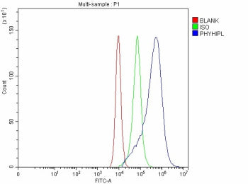 Flow Cytometry analysis of CACO-2 cells using anti-PHYHIPL antibody. Overlay histogram showing CACO-2 cells stained with (Blue line). To facilitate intracellular staining, cells were fixed with 4% paraformaldehyde and permeabilized with permeabilization buffer. The cells were blocked with 10% normal goat serum. And then incubated with rabbit anti-PHYHIPL antibody (1 ug/million cells) for 30 min at 20oC.