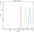 Flow cytometry testing of human U-2 OS cells with TSPY1/2/3/4 antibody at 1ug/million cells (blocked with goat sera); Red=cells alone, Green=isotype control, Blue= TSPY1/2/3/4 antibody.