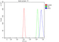 Flow Cytometry analysis of HEL cells using anti-NFS1 antibody. Overlay histogram showing HEL cells stained with (Blue line). To facilitate intracellular staining, cells were fixed with 4% paraformaldehyde and permeabilized with permeabilization buffer. The cells were blocked with 10% normal goat serum. And then incubated with rabbit anti-NFS1 antibody (1 ug/million cells) for 30 min at 20oC.