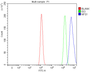 Flow Cytometry analysis of HEL cells using anti-NFS1 antibody. Overlay histogram showing HEL cells stained with (Blue line). To facilitate intracellular staining, cells were fixed with 4% paraformaldehyde and permeabilized with permeabilization buffer. The cells were blocked with 10% normal goat serum. And then incubated with rabbit anti-NFS1 antibody (1 ug/million cells) for 30 min at 20oC.
