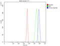 Flow Cytometry analysis of 293T cells using anti-STX16 antibody. Overlay histogram showing 293T cells stained with (Blue line). To facilitate intracellular staining, cells were fixed with 4% paraformaldehyde and permeabilized with permeabilization buffer. The cells were blocked with 10% normal goat serum. And then incubated with rabbit anti-STX16 antibody (1 ug/million cells) for 30 min at 20oC.