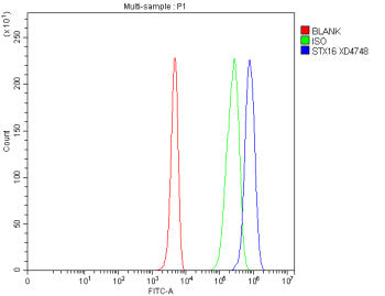 Flow Cytometry analysis of 293T cells using anti-STX16 antibody. Overlay histogram showing 293T cells stained with (Blue line). To facilitate intracellular staining, cells were fixed with 4% paraformaldehyde and permeabilized with permeabilization buffer. The cells were blocked with 10% normal goat serum. And then incubated with rabbit anti-STX16 antibody (1 ug/million cells) for 30 min at 20oC.