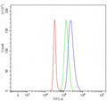 Flow cytometry testing of fixed and permeabilized human SH-SY5Y cells with PRMT6 antibody at 1ug/million cells (blocked with goat sera); Red=cells alone, Green=isotype control, Blue= PRMT6 antibody.