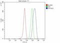 Flow Cytometry analysis of Hela cells using anti-PHYHD1 antibody. Overlay histogram showing Hela cells stained with (Blue line). To facilitate intracellular staining, cells were fixed with 4% paraformaldehyde and permeabilized with permeabilization buffer. The cells were blocked with 10% normal goat serum. And then incubated with rabbit anti-PHYHD1 antibody (1 ug/million cells) for 30 min at 20oC.