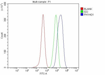 Flow Cytometry analysis of Hela cells using anti-PHYHD1 antibody. Overlay histogram showing Hela cells stained with (Blue line). To facilitate intracellular staining, cells were fixed with 4% paraformaldehyde and permeabilized with permeabilization buffer. The cells were blocked with 10% normal goat serum. And then incubated with rabbit anti-PHYHD1 antibody (1 ug/million cells) for 30 min at 20oC.