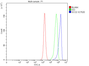 Flow Cytometry analysis of human PC-3 cells using anti-SCO2 antibody. Overlay histogram showing PC-3 cells stained with (Blue line). To facilitate intracellular staining, cells were fixed with 4% paraformaldehyde and permeabilized with permeabilization buffer. The cells were blocked with 10% normal goat serum. And then incubated with rabbit anti-SCO2 antibody (1 ug/million cells) for 30 min at 20oC.