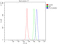 Flow Cytometry analysis of mouse RAW264.7 cells using anti-Oas2 antibody. Overlay histogram showing RAW264.7 cells stained with (Blue line). The cells were fixed with 4% paraformaldehyde and blocked with 10% normal goat serum. And then incubated with rabbit anti-OAS2 antibody (1 ug/million cells) for 30 min at 20oC. DyLight 488 conjugated goat anti-rabbit IgG (5-10 ug/million cells) was used as secondary antibody for 30 min at 20oC.