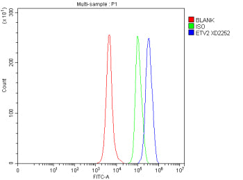 Flow Cytometry analysis of mouse RAW264.7 cells using anti-Oas2 antibody. Overlay histogram showing RAW264.7 cells stained with (Blue line). The cells were fixed with 4% paraformaldehyde and blocked with 10% normal goat serum. And then incubated with rabbit anti-OAS2 antibody (1 ug/million cells) for 30 min at 20oC. DyLight 488 conjugated goat anti-rabbit IgG (5-10 ug/million cells) was used as secondary antibody for 30 min at 20oC.