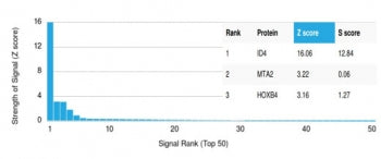 Analysis of a HuProt(TM) microarray containing more than 19,000 full-length human proteins using Secretogranin I antibody (clone CHGB/4560). Z- and S- Score: The Z-score represents the strength of a signal that a monoclonal antibody (in combination with a fluorescently-tagged anti-IgG secondary antibody) produces when binding to a particular protein on the HuProt(TM) array. Z-scores are described in units of standard deviations (SD's) above the mean value of all signals generated on that array.