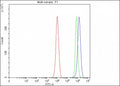 Flow cytometry testing of fixed and permeabilized human PC-3 cells with PAICS antibody at 1ug/million cells (blocked with goat sera); Red=cells alone, Green=isotype control, Blue= PAICS antibody.