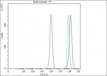 Flow cytometry testing of fixed and permeabilized human PC-3 cells with PAICS antibody at 1ug/million cells (blocked with goat sera); Red=cells alone, Green=isotype control, Blue= PAICS antibody.