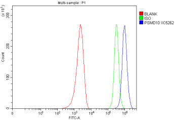 Flow Cytometry analysis of MCF-7 cells using anti-PSMD10 antibody. Overlay histogram showing MCF-7 cells stained with (Blue line). To facilitate intracellular staining, cells were fixed with 4% paraformaldehyde and permeabilized with permeabilization buffer. The cells were blocked with 10% normal goat serum. And then incubated with rabbit anti-PSMD10 antibody (1 ug/million cells) for 30 min at 20oC.