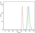 Flow cytometry testing of mouse RAW264.7 cells with Cd204 antibody at 1ug/million cells (blocked with goat sera); Red=cells alone, Green=isotype control, Blue= Cd204 antibody.
