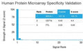 Analysis of HuProt(TM) microarray containing more than 19,000 full-length human proteins using BRCA-1 antibody (clone BRCA1/2973). These results demonstrate the foremost specificity of the BRCA1/2973 mAb. Z- and S- Score: The Z-score represents the strength of a signal that a monoclonal antibody (clone MAb) (in combination with a fluorescently-tagged anti-IgG secondary antibody) produces when binding to a particular protein on the HuProt(TM) array.