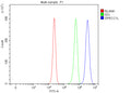 Flow Cytometry analysis of HepG2 cells using anti-SPECC1L antibody. Overlay histogram showing HepG2 cells stained with (Blue line). To facilitate intracellular staining, cells were fixed with 4% paraformaldehyde and permeabilized with permeabilization buffer. The cells were blocked with 10% normal goat serum. And then incubated with rabbit anti-SPECC1L antibody (1 ug/million cells) for 30 min at 20oC.