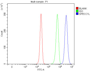 Flow Cytometry analysis of HepG2 cells using anti-SPECC1L antibody. Overlay histogram showing HepG2 cells stained with (Blue line). To facilitate intracellular staining, cells were fixed with 4% paraformaldehyde and permeabilized with permeabilization buffer. The cells were blocked with 10% normal goat serum. And then incubated with rabbit anti-SPECC1L antibody (1 ug/million cells) for 30 min at 20oC.