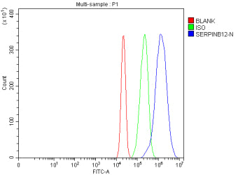 Flow Cytometry analysis of RT4 cells using anti-SERPINB12 antibody. Overlay histogram showing RT4 cells stained with (Blue line). To facilitate intracellular staining, cells were fixed with 4% paraformaldehyde and permeabilized with permeabilization buffer. The cells were blocked with 10% normal goat serum. And then incubated with rabbit anti-SERPINB12 antibody (1 ug/million cells) for 30 min at 20oC.