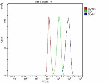 Flow Cytometry analysis of 293T cells using anti-GLMN antibody. Overlay histogram showing 293T cells stained with (Blue line). To facilitate intracellular staining, cells were fixed with 4% paraformaldehyde and permeabilized with permeabilization buffer. The cells were blocked with 10% normal goat serum. And then incubated with rabbit anti-GLMN antibody (1 ug/million cells) for 30 min at 20oC.