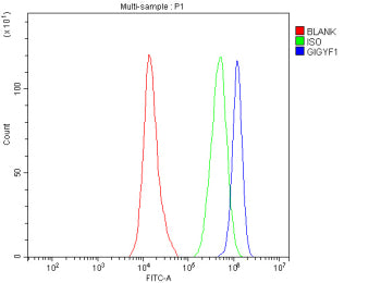 Flow Cytometry analysis of SH-SY5Y cells using anti-GIGYF1 antibody. Overlay histogram showing SH-SY5Y cells stained with (Blue line). To facilitate intracellular staining, cells were fixed with 4% paraformaldehyde and permeabilized with permeabilization buffer. The cells were blocked with 10% normal goat serum. And then incubated with rabbit anti-GIGYF1 antibody (1 ug/million cells) for 30 min at 20oC.