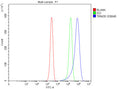 Flow Cytometry analysis of Jurkat cells using anti-TRIM39 antibody. Overlay histogram showing Jurkat cells stained with (Blue line). To facilitate intracellular staining, cells were fixed with 4% paraformaldehyde and permeabilized with permeabilization buffer. The cells were blocked with 10% normal goat serum. And then incubated with rabbit anti-TRIM39 antibody (1 ug/million cells) for 30 min at 20oC.