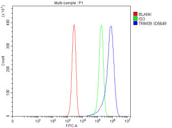Flow Cytometry analysis of Jurkat cells using anti-TRIM39 antibody. Overlay histogram showing Jurkat cells stained with (Blue line). To facilitate intracellular staining, cells were fixed with 4% paraformaldehyde and permeabilized with permeabilization buffer. The cells were blocked with 10% normal goat serum. And then incubated with rabbit anti-TRIM39 antibody (1 ug/million cells) for 30 min at 20oC.