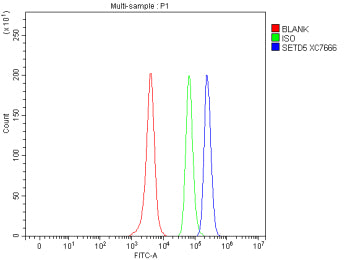 Flow Cytometry analysis of SH-SY5Y cells using anti-SETD5 antibody. Overlay histogram showing SH-SY5Y cells stained with (Blue line). To facilitate intracellular staining, cells were fixed with 4% paraformaldehyde and permeabilized with permeabilization buffer. The cells were blocked with 10% normal goat serum. And then incubated with rabbit anti-SETD5 antibody (1 ug/million cells) for 30 min at 20oC.