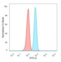 FACS staining of PFA-fixed human HeLa cells with B-cell lymphoma/leukemia 11A antibody (blue, clone PCRP-BCL11A-1H3) and isotype control (red).