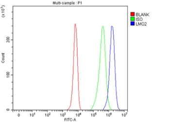 Flow Cytometry analysis of K562 cells using anti-LMO2 antibody. Overlay histogram showing K562 cells stained with (Blue line). To facilitate intracellular staining, cells were fixed with 4% paraformaldehyde and permeabilized with permeabilization buffer. The cells were blocked with 10% normal goat serum. And then incubated with rabbit anti-LMO2 antibody (1 ug/million cells) for 30 min at 20oC.