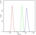 Flow cytometry testing of human U-2 OS cells with AKR1B1 antibody at 1ug/10^6 cells (blocked with goat sera); Red=cells alone, Green=isotype control, Blue= AKR1B1 antibody.