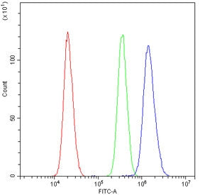 Flow cytometry testing of human U-2 OS cells with AKR1B1 antibody at 1ug/10^6 cells (blocked with goat sera); Red=cells alone, Green=isotype control, Blue= AKR1B1 antibody.