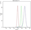 Flow cytometry testing of fixed human HepG2 cells with Ceruloplasmin antibody at 1ug/million cells (blocked with goat sera); Red=cells alone, Green=isotype control, Blue= Ceruloplasmin antibody.