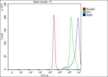 Flow Cytometry analysis of cells using anti-RAB1A antibody. Overlay histogram showing cells stained with (Blue line). To facilitate intracellular staining, cells were fixed with 4% paraformaldehyde and permeabilized with permeabilization buffer. The cells were blocked with 10% normal goat serum. And then incubated with rabbit anti-RAB1A antibody (1 ug/million cells) for 30 min at 20oC. DyLight 488 conjugated goat anti-rabbit IgG (5-10 ug/million cells) was used as secondary antibody for 30 min at 20oC.