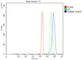 Flow Cytometry analysis of RT4 cells using anti-TIMM8B antibody. Overlay histogram showing RT4 cells stained with (Blue line). To facilitate intracellular staining, cells were fixed with 4% paraformaldehyde and permeabilized with permeabilization buffer. The cells were blocked with 10% normal goat serum. And then incubated with rabbit anti-TIMM8B antibody (1 ug/million cells) for 30 min at 20oC.