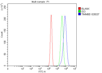Flow Cytometry analysis of RT4 cells using anti-TIMM8B antibody. Overlay histogram showing RT4 cells stained with (Blue line). To facilitate intracellular staining, cells were fixed with 4% paraformaldehyde and permeabilized with permeabilization buffer. The cells were blocked with 10% normal goat serum. And then incubated with rabbit anti-TIMM8B antibody (1 ug/million cells) for 30 min at 20oC.