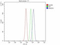 Flow Cytometry analysis of HepG2 cells using anti-ANKRD1 antibody. Overlay histogram showing HepG2 cells stained with (Blue line). To facilitate intracellular staining, cells were fixed with 4% paraformaldehyde and permeabilized with permeabilization buffer. The cells were blocked with 10% normal goat serum. And then incubated with rabbit anti-ANKRD1 antibody (1 ug/million cells) for 30 min at 20oC.