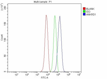 Flow Cytometry analysis of HepG2 cells using anti-ANKRD1 antibody. Overlay histogram showing HepG2 cells stained with (Blue line). To facilitate intracellular staining, cells were fixed with 4% paraformaldehyde and permeabilized with permeabilization buffer. The cells were blocked with 10% normal goat serum. And then incubated with rabbit anti-ANKRD1 antibody (1 ug/million cells) for 30 min at 20oC.