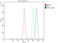 Flow Cytometry analysis of SH-SY5Y cells using anti-GGN antibody. Overlay histogram showing SH-SY5Y cells stained with (Blue line). To facilitate intracellular staining, cells were fixed with 4% paraformaldehyde and permeabilized with permeabilization buffer. The cells were blocked with 10% normal goat serum. And then incubated with rabbit anti-GGN antibody (1 ug/million cells) for 30 min at 20oC.