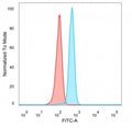 FACS staining of PFA-fixed human HeLa cells with FOXB2 antibody (blue, clone PCRP-FOXB2-2B2) and isotype control (red).