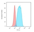 Flow cytometry testing of PFA-fixed human Raji cells with CD20 antibody (clone IGEL/773); Red=isotype control, Blue= CD20 antibody.
