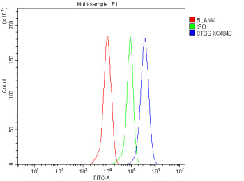 Flow Cytometry analysis of human THP-1 cells using anti-CTSS antibody. Overlay histogram showing THP-1 cells stained with (Blue line). To facilitate intracellular staining, cells were fixed with 4% paraformaldehyde and permeabilized with permeabilization buffer. The cells were blocked with 10% normal goat serum. And then incubated with rabbit anti-CTSS antibody (1 ug/million cells) for 30 min at 20oC.