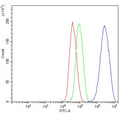 Flow cytometry testing of human HepG2 cells with Dexras1 antibody at 1ug/million cells (blocked with goat sera); Red=cells alone, Green=isotype control, Blue= Dexras1 antibody.