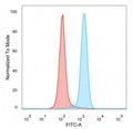 Flow cytometry staining of PFA-fixed human HeLa cells with BACH2 antibody (clone PCRP-BACH2-5B11); Red=isotype control, Blue= BACH2 antibody.