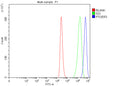Flow Cytometry analysis of human THP-1 cells using anti-PTGER3 antibody. Overlay histogram showing THP-1 cells stained with (Blue line). The cells were fixed with 4% paraformaldehyde and blocked with 10% normal goat serum. And then incubated with rabbit anti-PTGER3 antibody (1 ug/million cells) for 30 min at 20oC. DyLight 488 conjugated goat anti-rabbit IgG (5-10 ug/million cells) was used as secondary antibody for 30 min at 20oC.