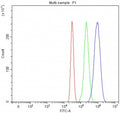 Flow cytometry testing of fixed and permeabilized human HepG2 cells with IGF2R antibody at 1ug/million cells (blocked with goat sera); Red=cells alone, Green=isotype control, Blue= IGF2R antibody.