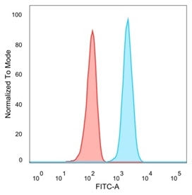 FACS staining of PFA-fixed human HeLa cells with STAT5A antibody (blue, clone PCRP-STAT5A-1A11) and isotype control (red).