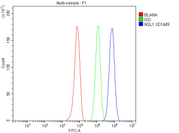 Flow Cytometry analysis of HepG2 cells using anti-NSL1 antibody. Overlay histogram showing HepG2 cells stained with (Blue line). To facilitate intracellular staining, cells were fixed with 4% paraformaldehyde and permeabilized with permeabilization buffer. The cells were blocked with 10% normal goat serum. And then incubated with rabbit anti-NSL1 antibody (1 ug/million cells) for 30 min at 20oC.